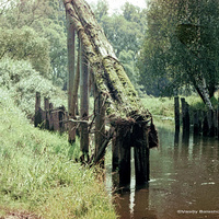 Место старого деревянного моста через Пекшу около Анкудинова, остатки  "Ледореза"