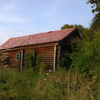 Старый дом Селюковых в селе Алферьево