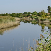 Река Кагальник у хутора.