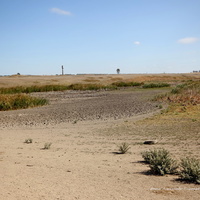 Засуха, 2020 год. Дамба и высохший пруд