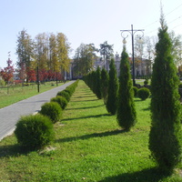 Одна из центральных аллей курорт-парка с видом на ДК Косякова.