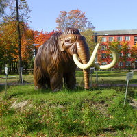 Скульптура мещерского мамонта в городском парке "Крестов Брод".