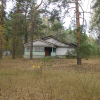 Территория бывшего пионерлагеря "Берёзка" у деревни Лемёшино