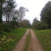Дорога в деревне Сорокино.