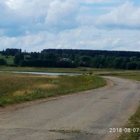 Дорога с Верх-Ушута