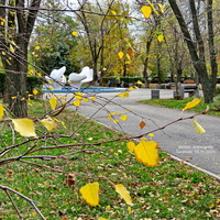 Осень в парке "Юность"