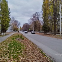 переулок Думенко