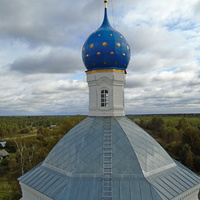 Купол храма. Вид с колокольни.