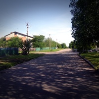 Улица в Несватково.