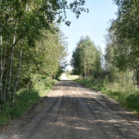 Дорога к бывшей ферме