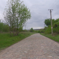 Омельгород, дорога со стороны Бирок.
