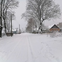 Деревня Пружинищи