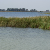 Озеро Сомино