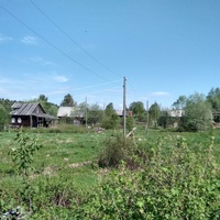 панорама д. Грибановская