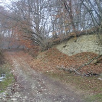 Дорожка к бывшей даче Хрущёва в 3-м посёлке (микрорайоне) села Белая Речка