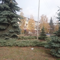 Во дворе дома №5 по проспекту Шогенцукова