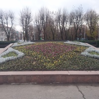В сквере Дома Правительства на пересечении проспекта Ленина и улицы Головко
