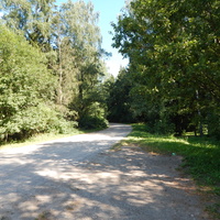 Въезд в Гадовичский лес (мемориал - у дороги справа)