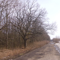 Дорога на Крымки со стороны села Ставыдла.
