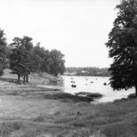 салтыковка.желтый пруд.вид с запада.1964г