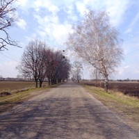 Дорога до Худяков со стороны Сагуновки.