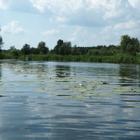 Река Икорец у Масловки
