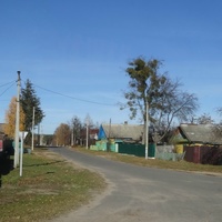 деревня Борщевка