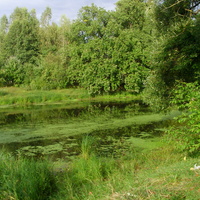 Река Поля за дворами села Кривандино