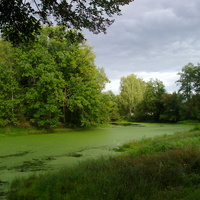 Река Поля за дворами села Кривандино