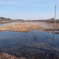 Разлив реки Поли на улице Сосновской