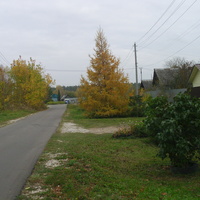 В деревне Воронинская