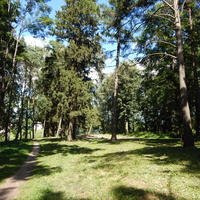 Парк Межево