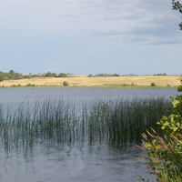 Южная часть Черейского озера