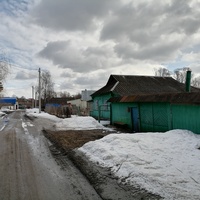 Улица в деревне Пушкарная
