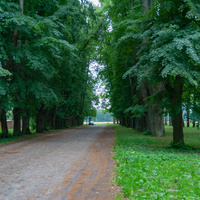 Аллеи парка усадьбы Рейтанов