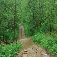 Единственная дорога через овраг и ручей в деревню Чубарово