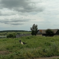 Луг в деревне Сухочево