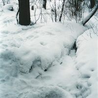 Родник в конце 8-й улицы с/д "Луч" за деревней Никитинская. Январь 1996г.