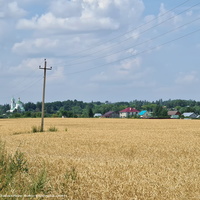 Панорама с. Борисовкое с юго -востока