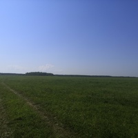 Поле близ  Первомайского