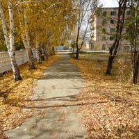 Тропинка возле школы Карбышева