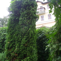Станция юных натуралистов «Патриарший сад».