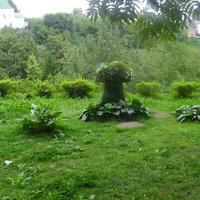 Станция юных натуралистов «Патриарший сад».
