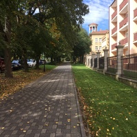 Тротуар по ул. Разумовского около д.5 (корпус №3 санатория им. Анджиевского)