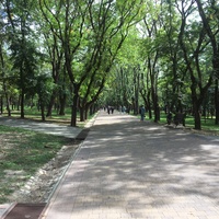 Аллеи Пантелеимоновского парка (молодой части Курортного парка)