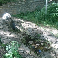 Маленький источник минеральной воды №5 с черепахой в верхней части Курортного парка