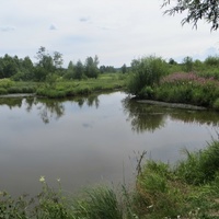 Пруд на реке Таволга