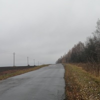 Дорога на деревню Федотово со стороны поселка Кромы
