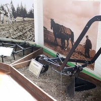 В музее хлеба и вина.