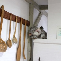 В музее хлеба и вина.